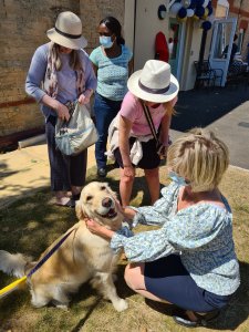 PAT Dog at Willow Lodge